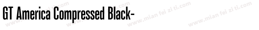 GT America Compressed Black字体转换